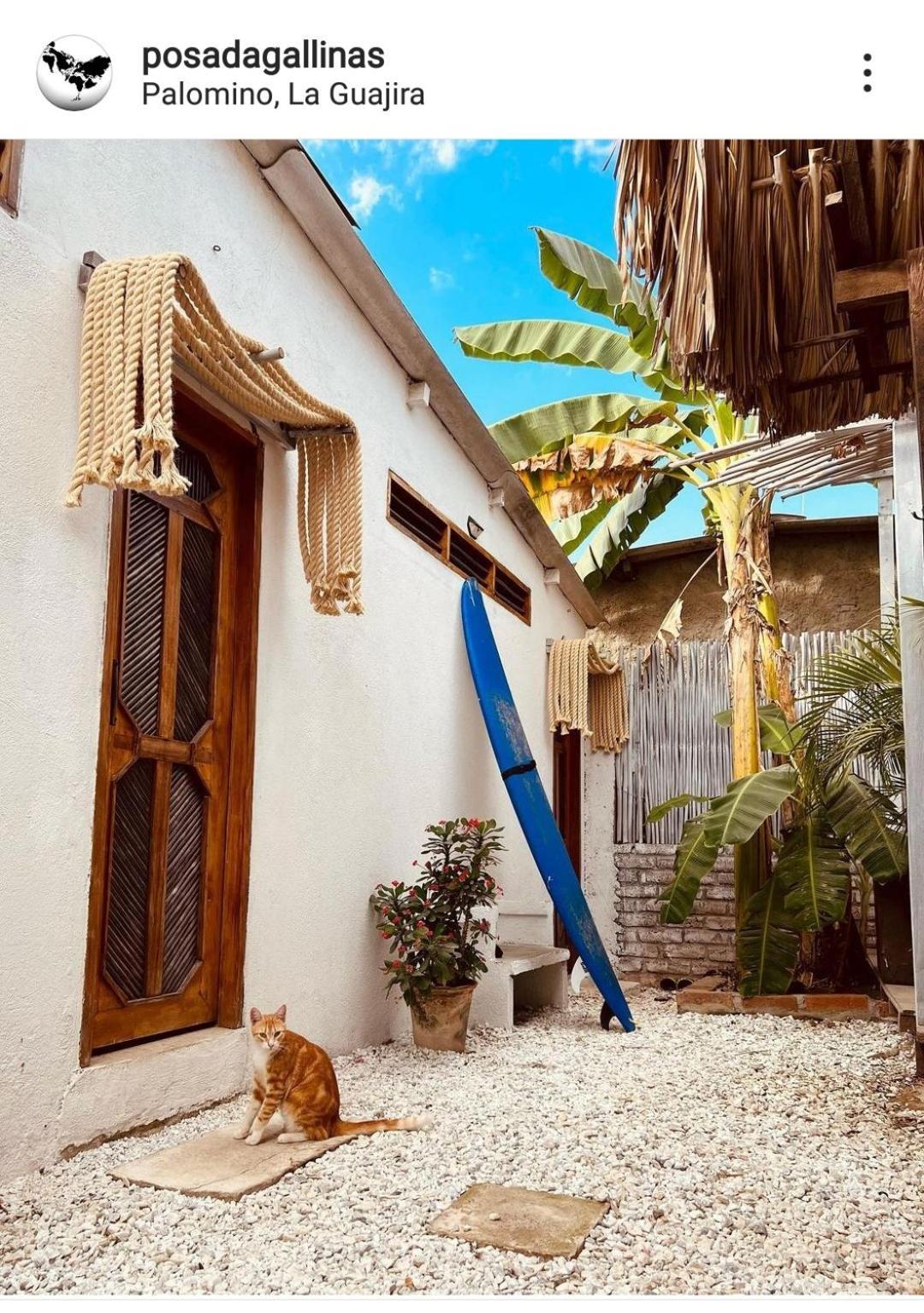 Posada Gallinas Palomino Exterior foto