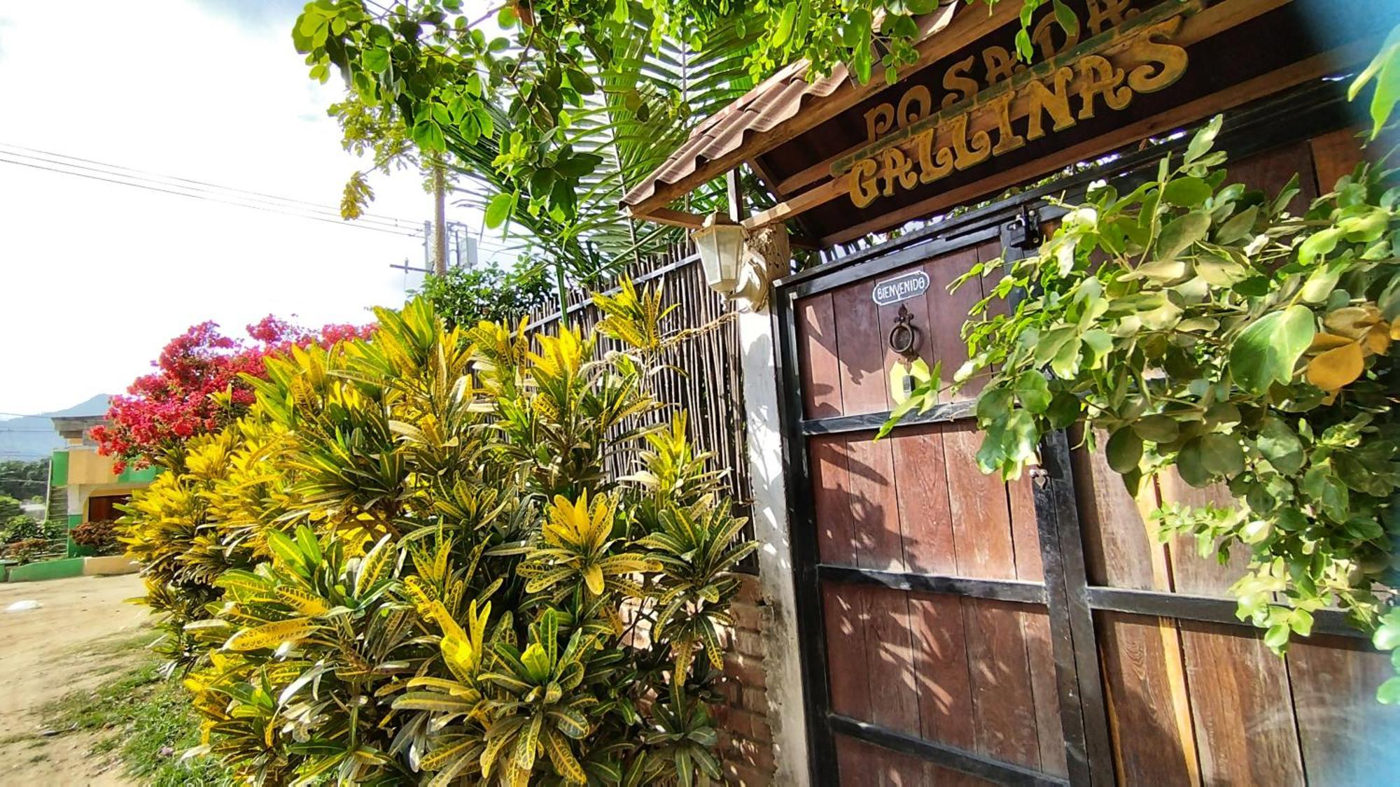 Posada Gallinas Palomino Exterior foto